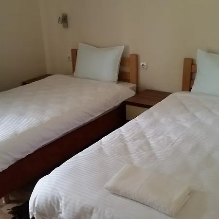 Vila Vesna Villa *