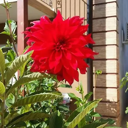 Βίλα Vila Vesna *